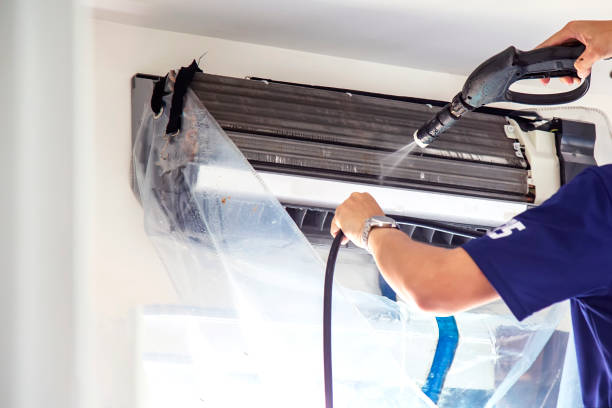 Best Air Duct Mold Removal  in Northfield, OH